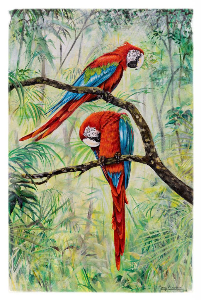 Ruby Macaws Painting