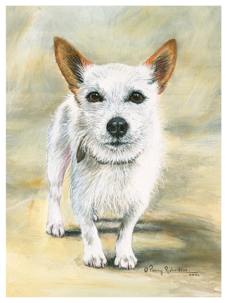 Terrier Portrait - Harrogate