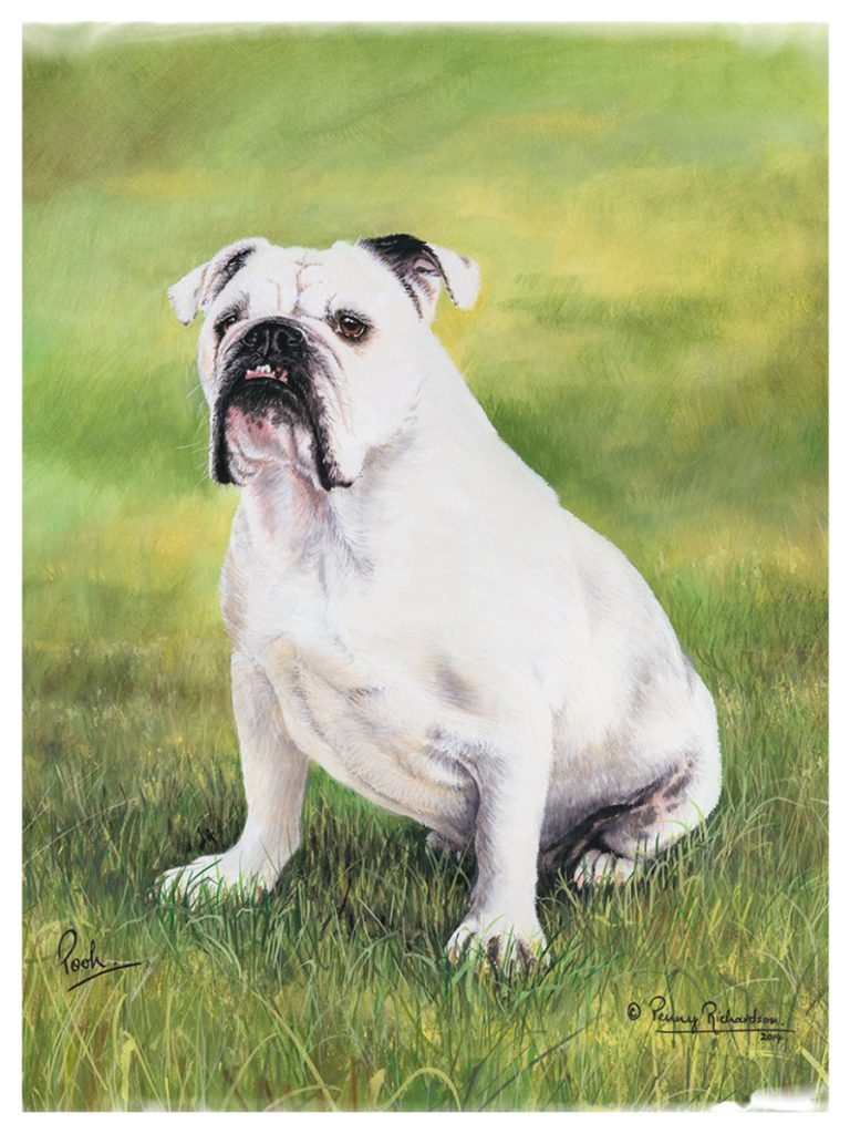 English Bull Dog Painting