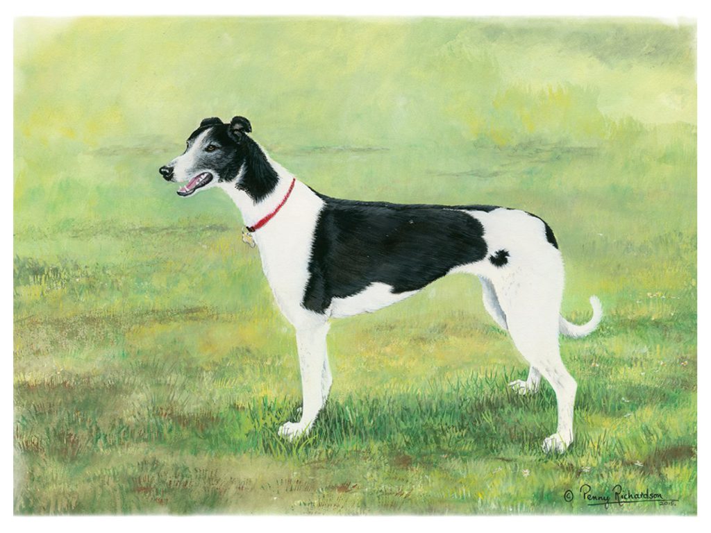 Greyhound Painting