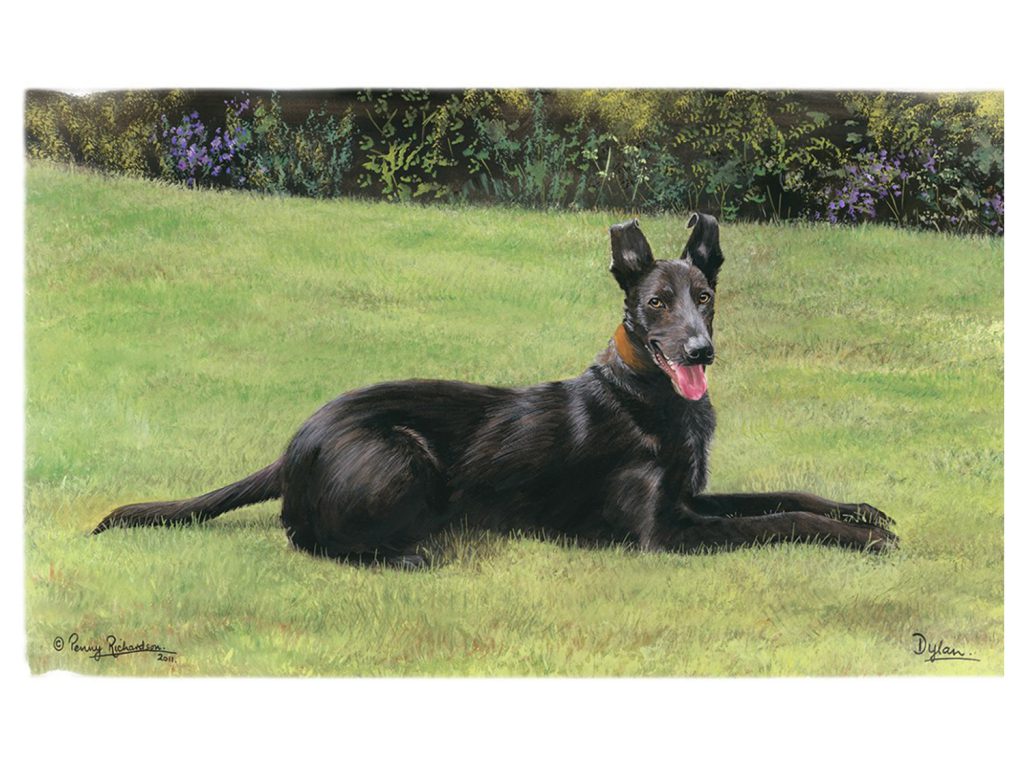 Lurcher Painting