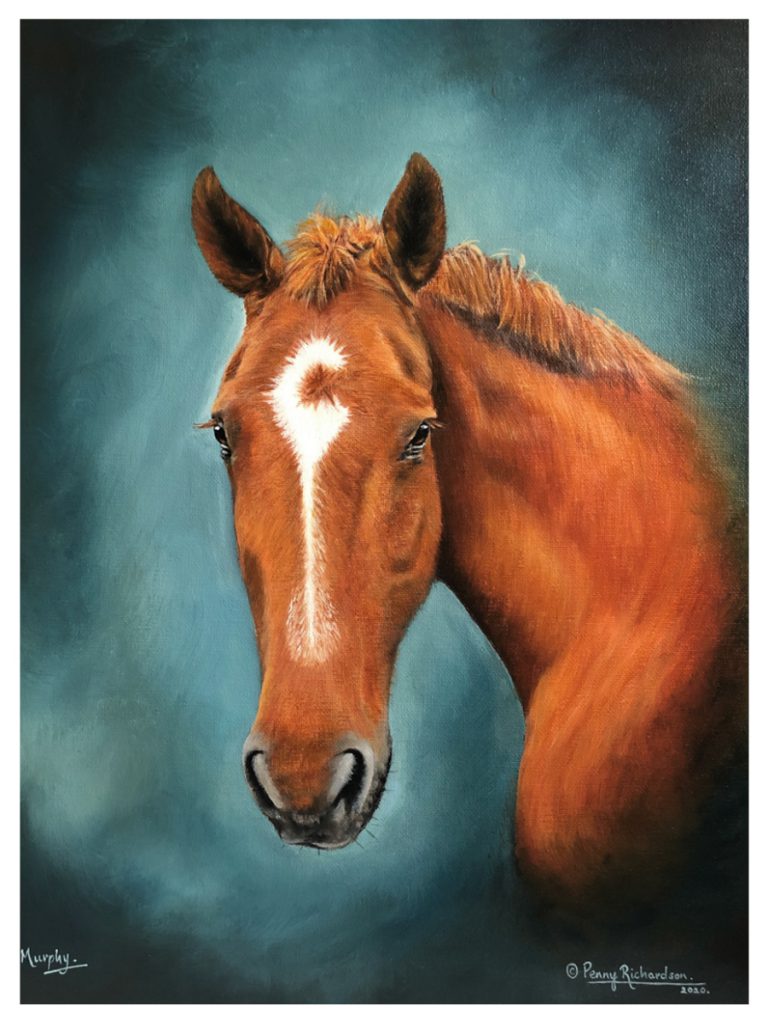 Oil Horse Portrait Bedford