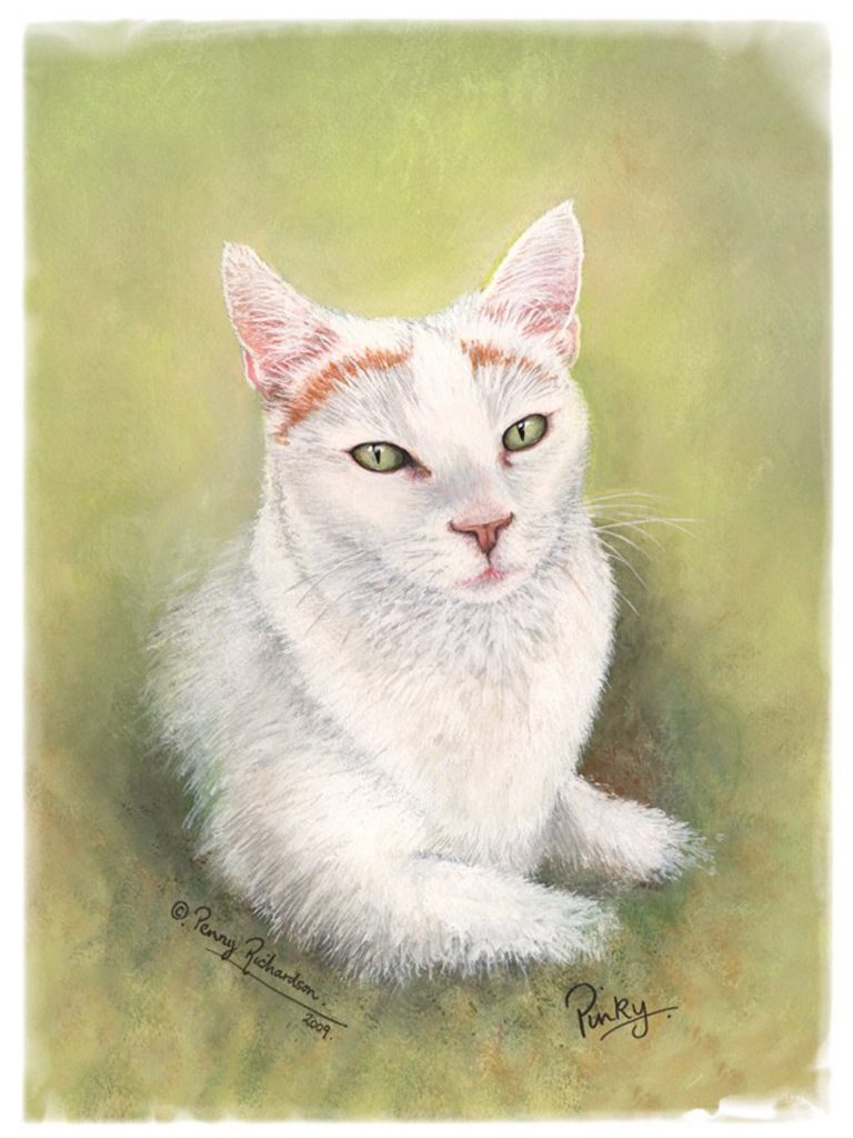 White Cat in Watercolour