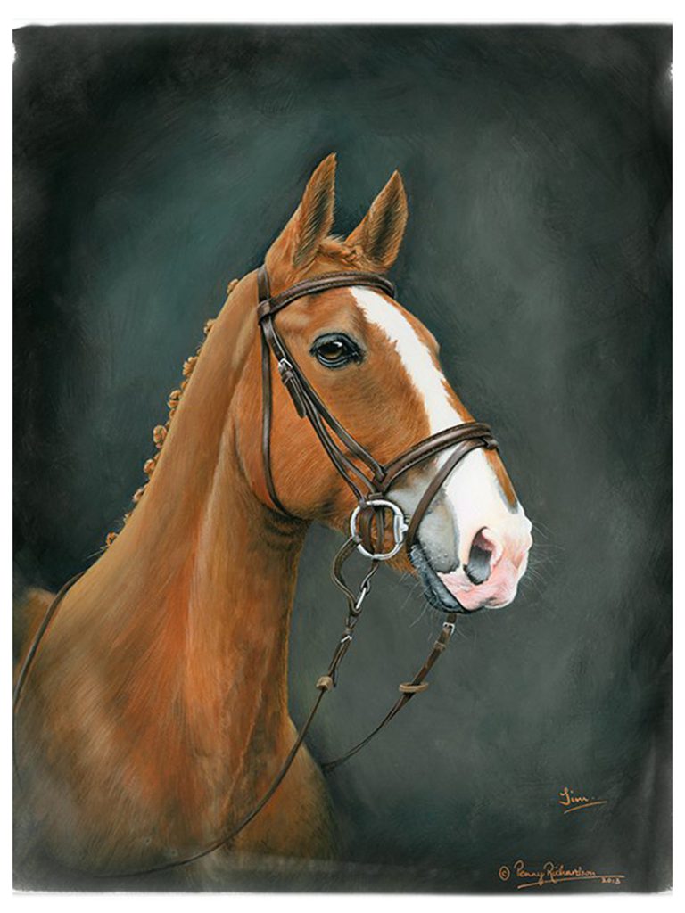 Horse Portrait Oxfordshire