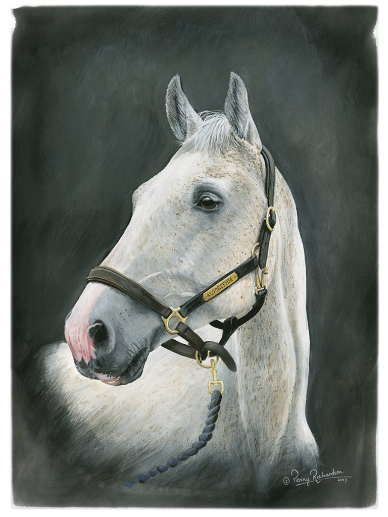 Horse Portrait Newmarket Suffolk